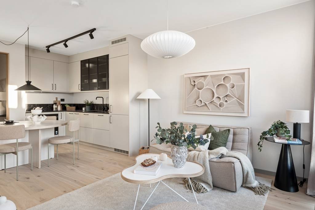 salon et cuisine ouverte décoration scandinave deux-pièces 45m2
