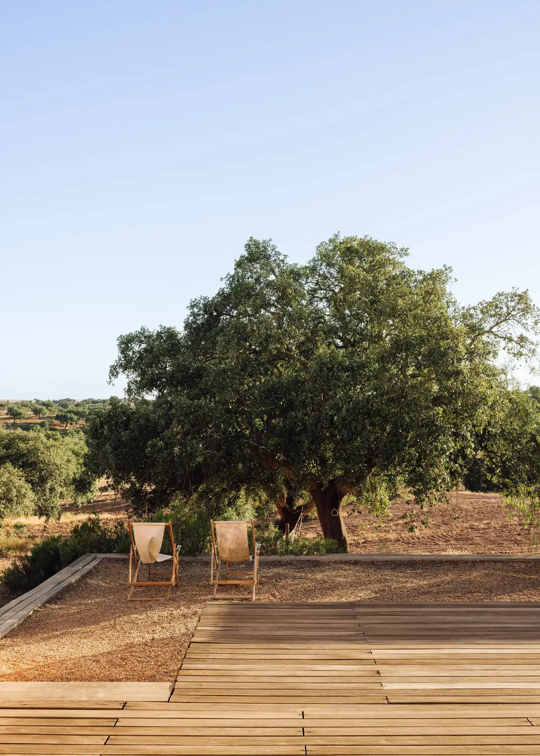 jardin maison architecte jardin maison architecte