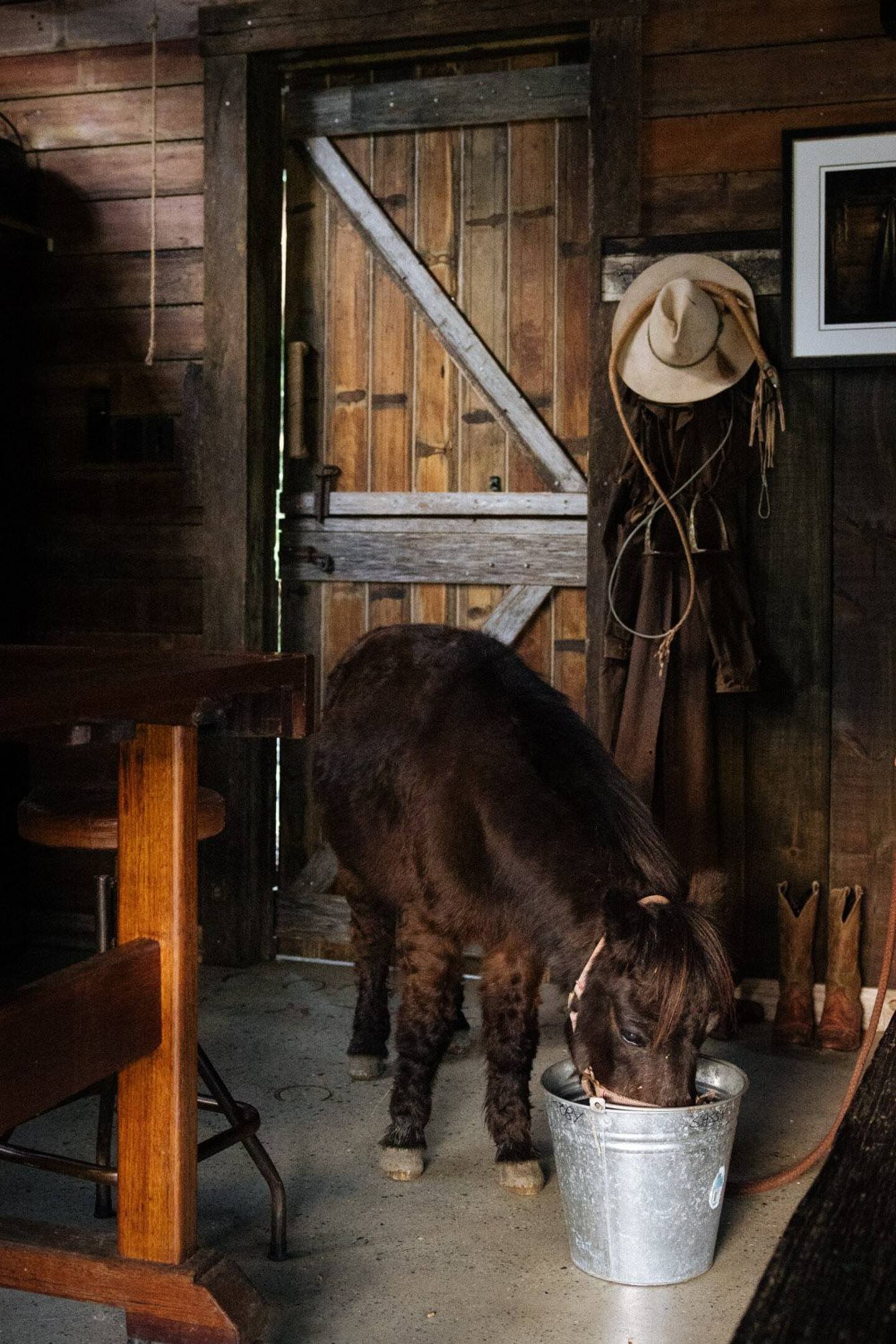 maison rustique chic Hillview Stables Australie maison rustique chic Hillview Stables Australie