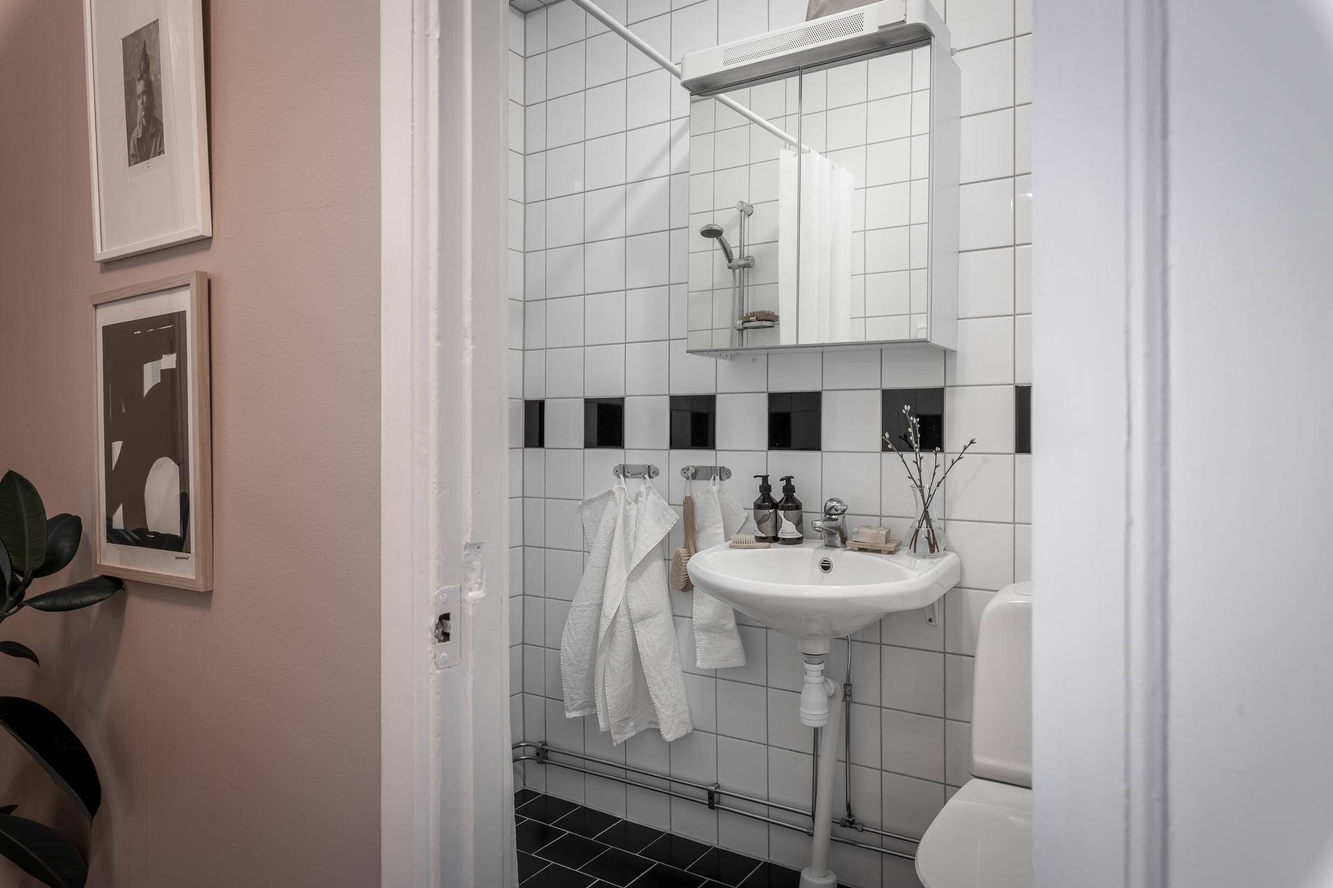 entrée et salle de bain entrée et salle de bain