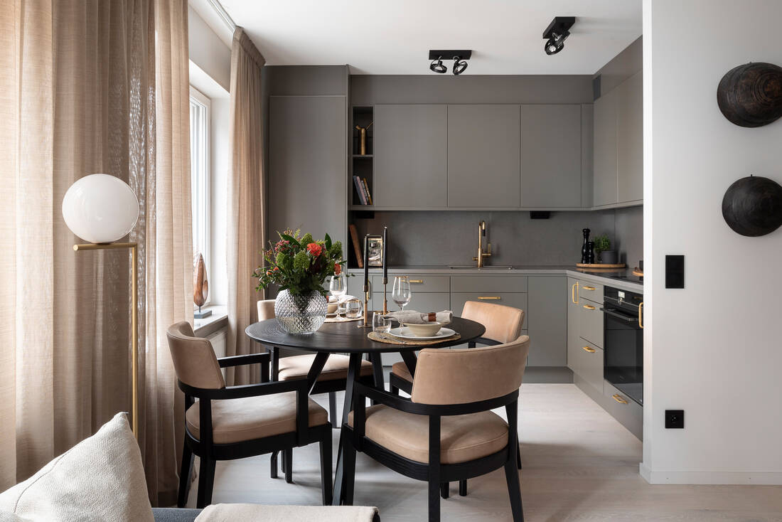 salle à manger et cuisine ouverte décoration contemporaine deux-pièces de 46m2