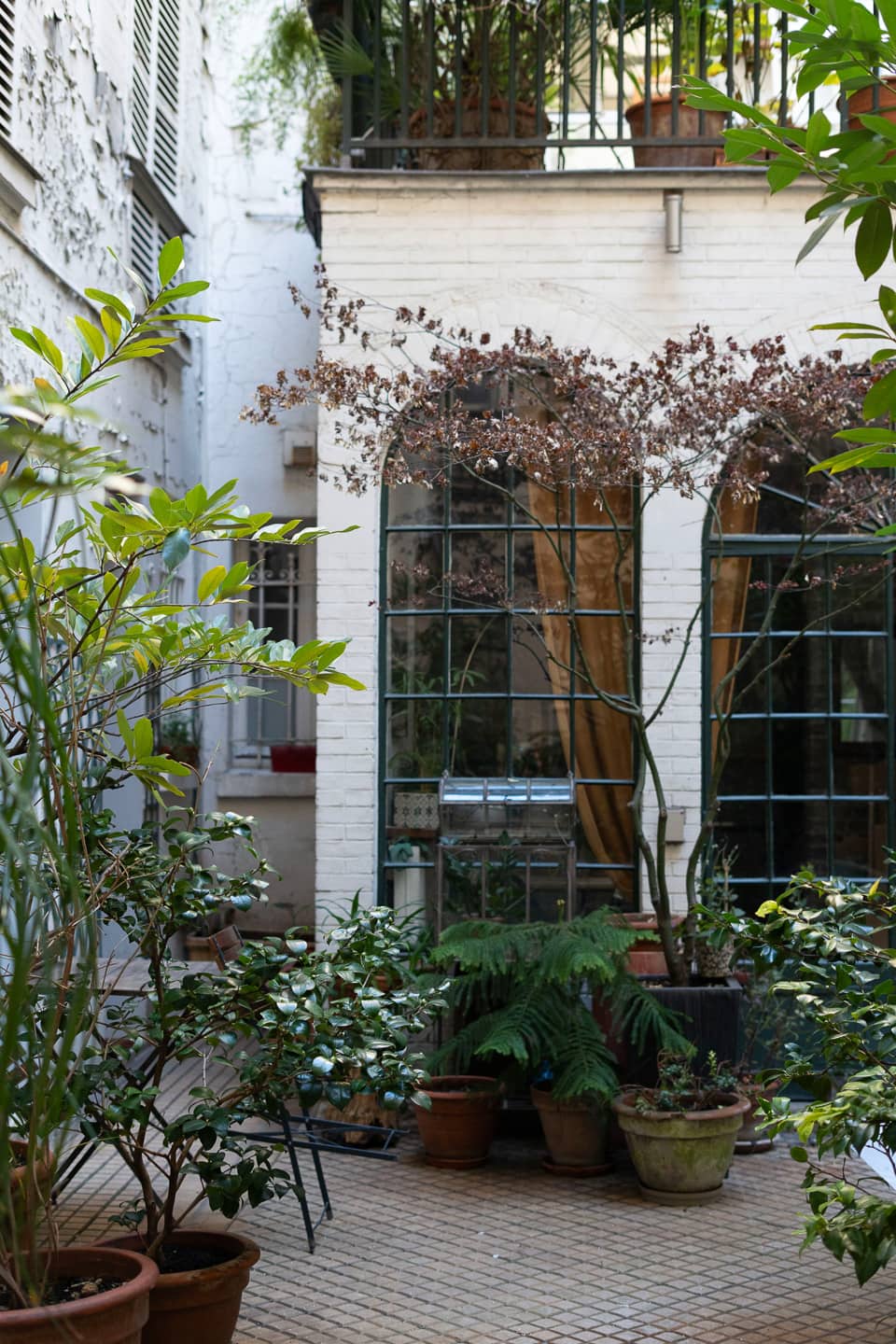 cour arborée immeuble Paris cour arborée immeuble Paris