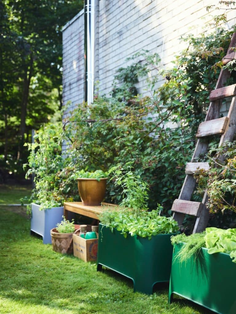 pots pour plantes IKEA catalogue outdoor 2025