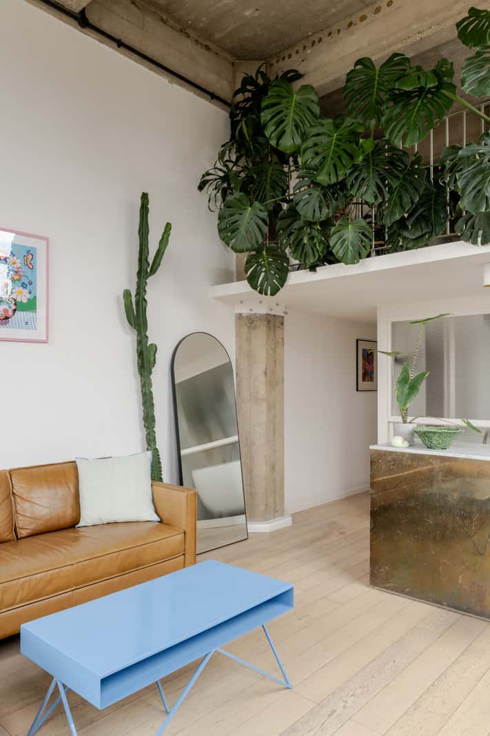 salon avec plantes vertes loft en duplex de 68m2