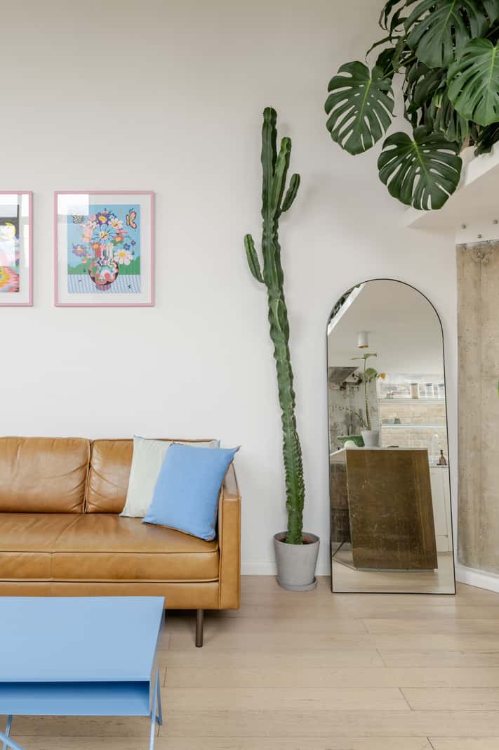 salon avec plantes vertes décoration contemporaine