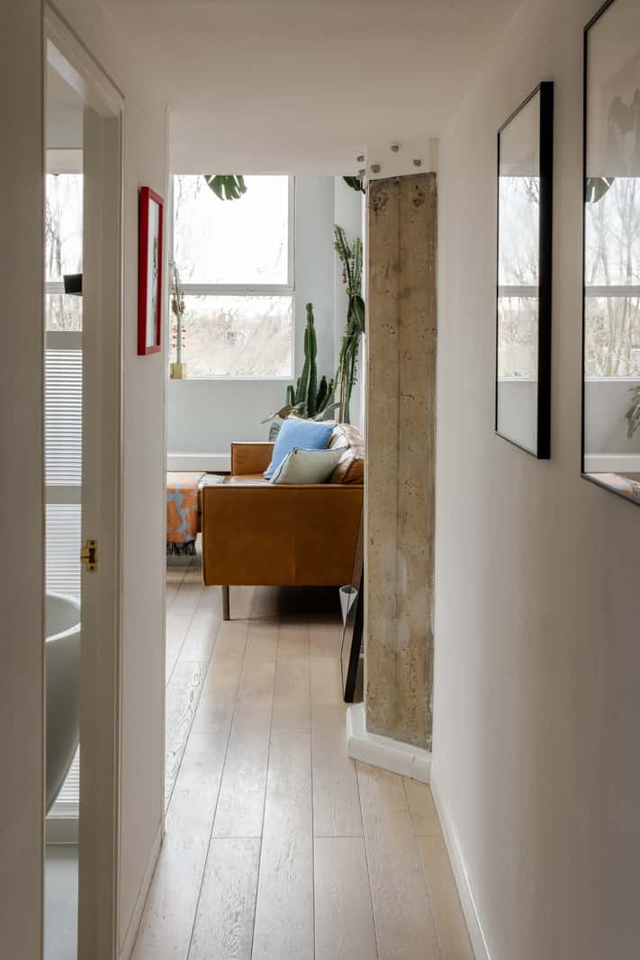 salon avec plantes vertes décoration contemporaine