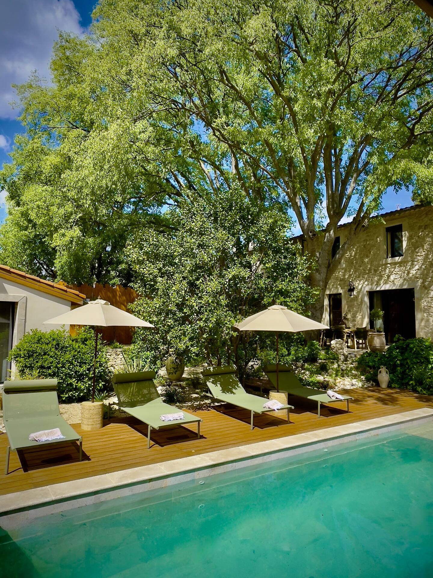 jardin avec piscine Mas Revive Grabels