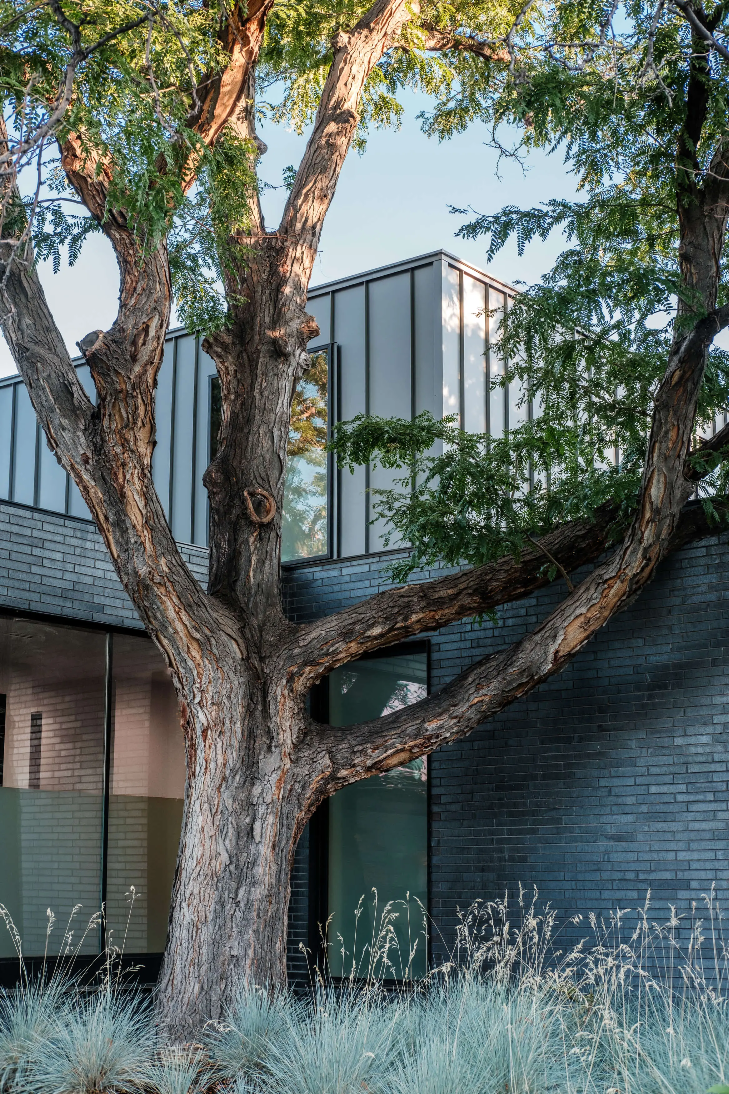maison contemporaine maison contemporaine