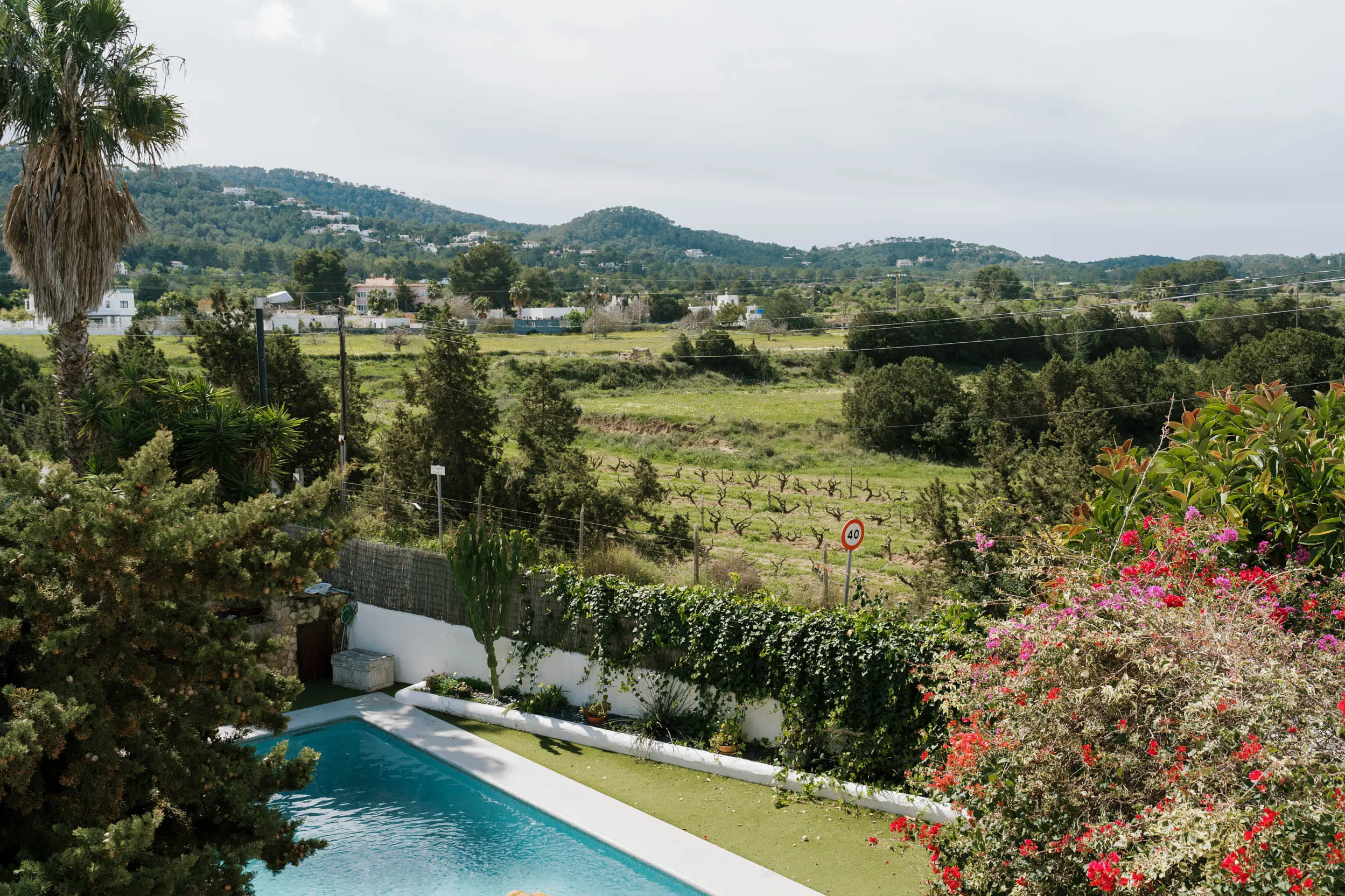 jardin avec piscine jardin avec piscine