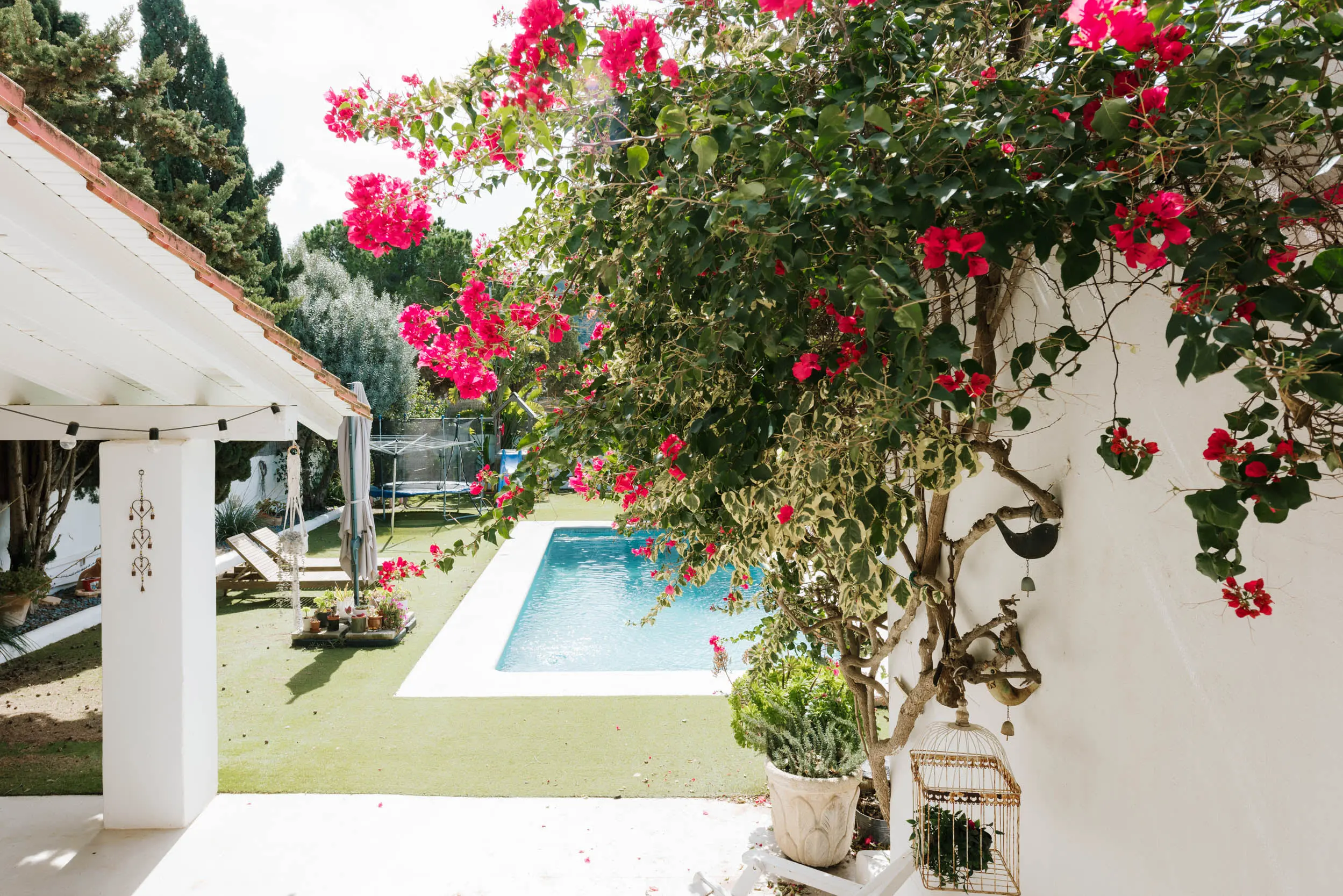 jardin maison Ibiza avec piscine jardin maison Ibiza avec piscine
