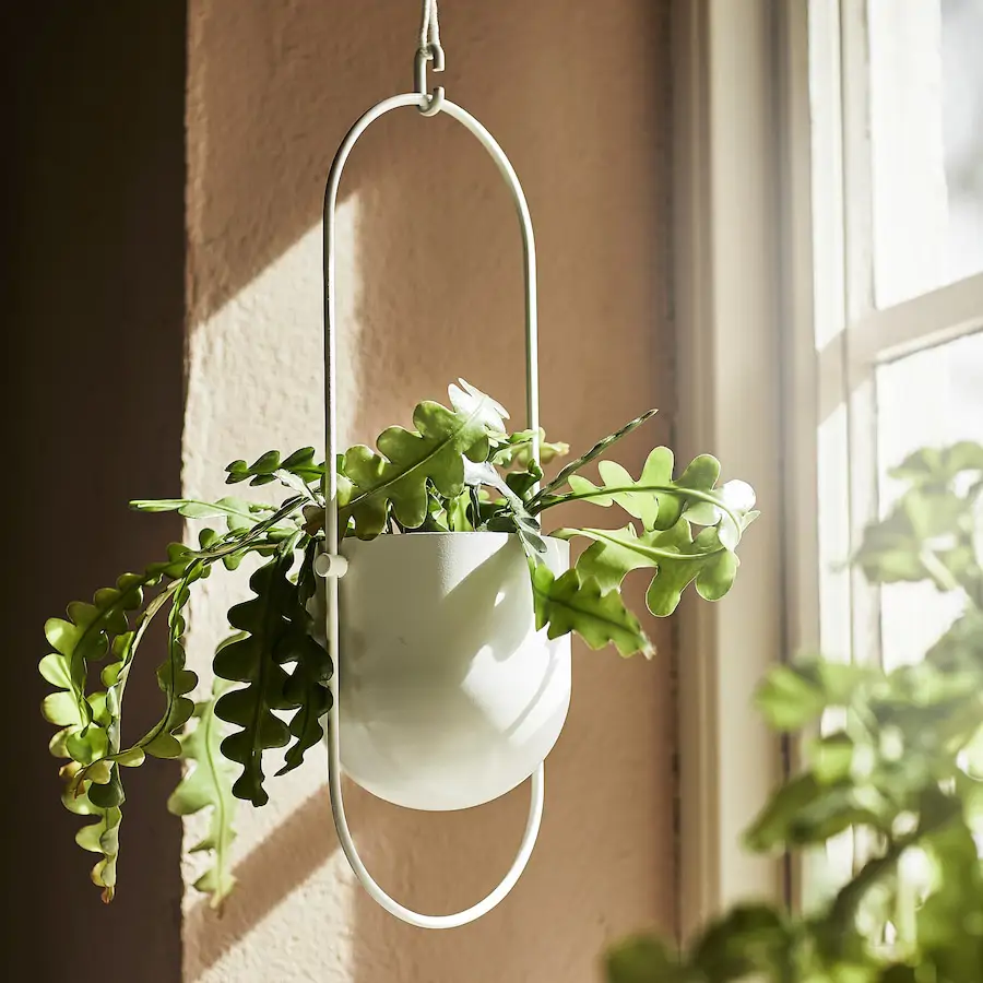 porte-plante à accrocher IKEA