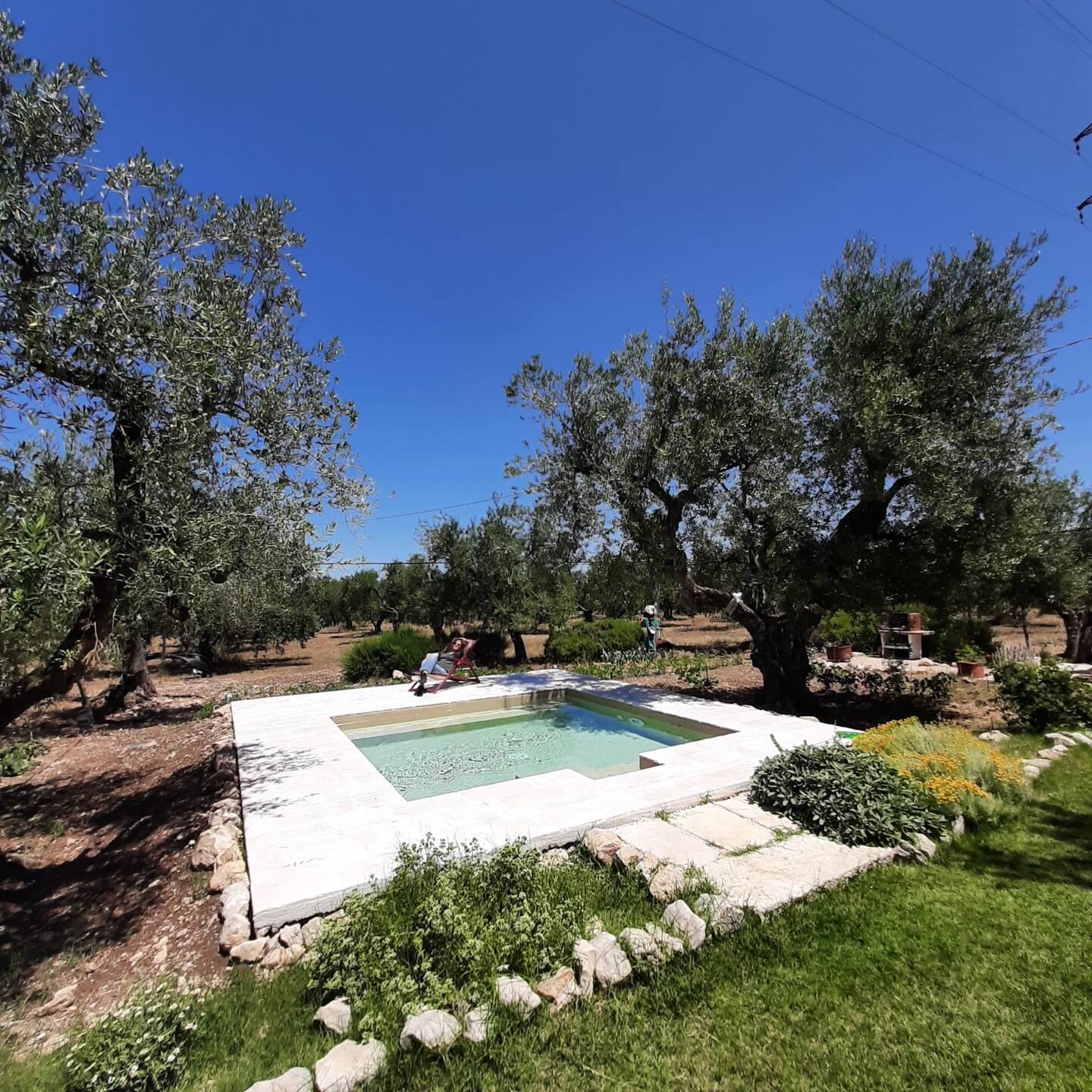 petite piscine entourée d'oliviers maison dans les Pouilles