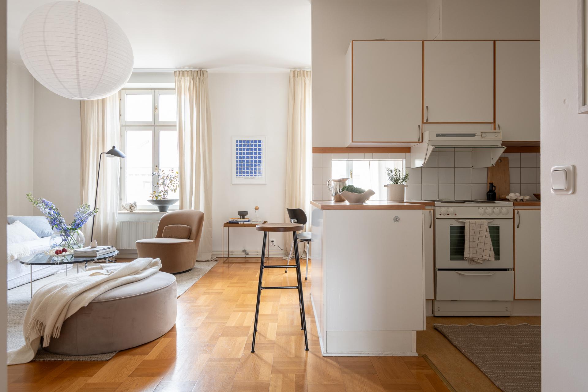 salon deux-pièces 50m2 décoration contemporaine scandinave avec cuisine ouverte salon deux-pièces 50m2 décoration contemporaine scandinave avec cuisine ouverte