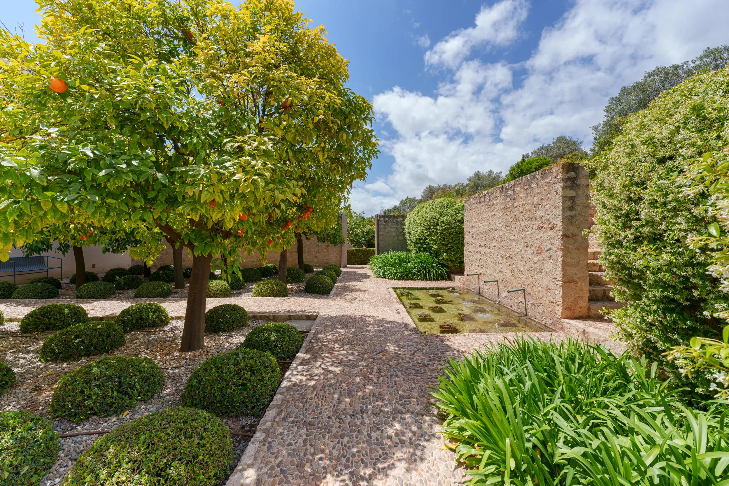 jardin méditerranéen jardin méditerranéen