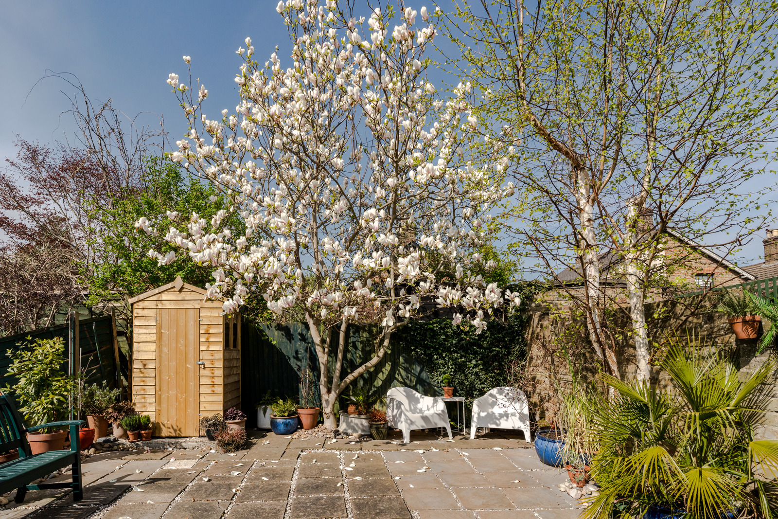 jardin maison de ville 81m2 jardin maison de ville 81m2