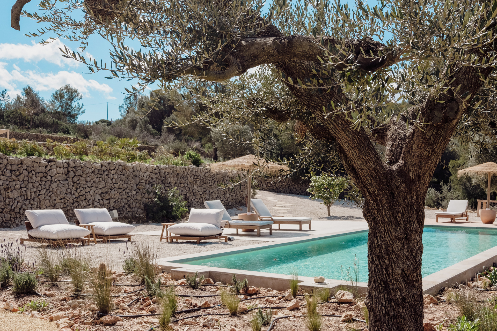 jardin avec piscine finca écologique avec piscine Costa Blanca The Yumi House