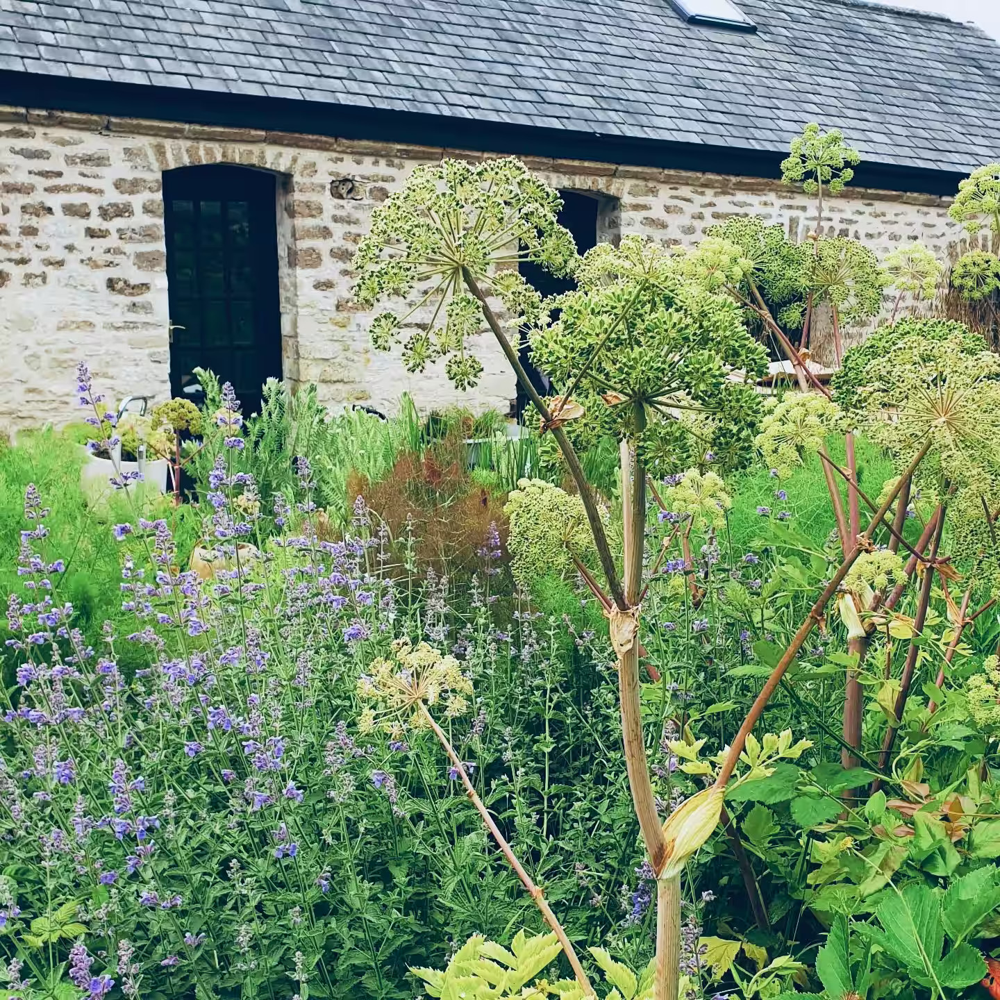 jardin grange rénovée Arthouse jardin grange rénovée Arthouse