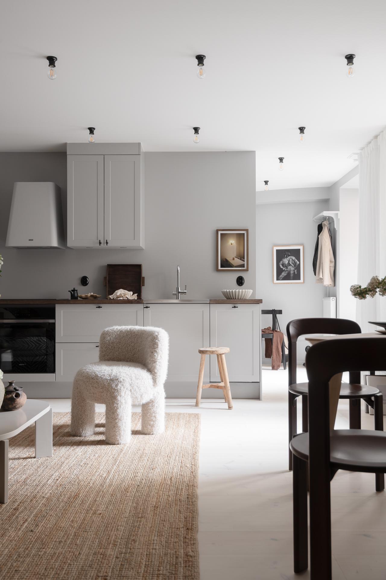 cuisine ouverte et salon deux-pièces 44m2 décoration scandinave murs gris