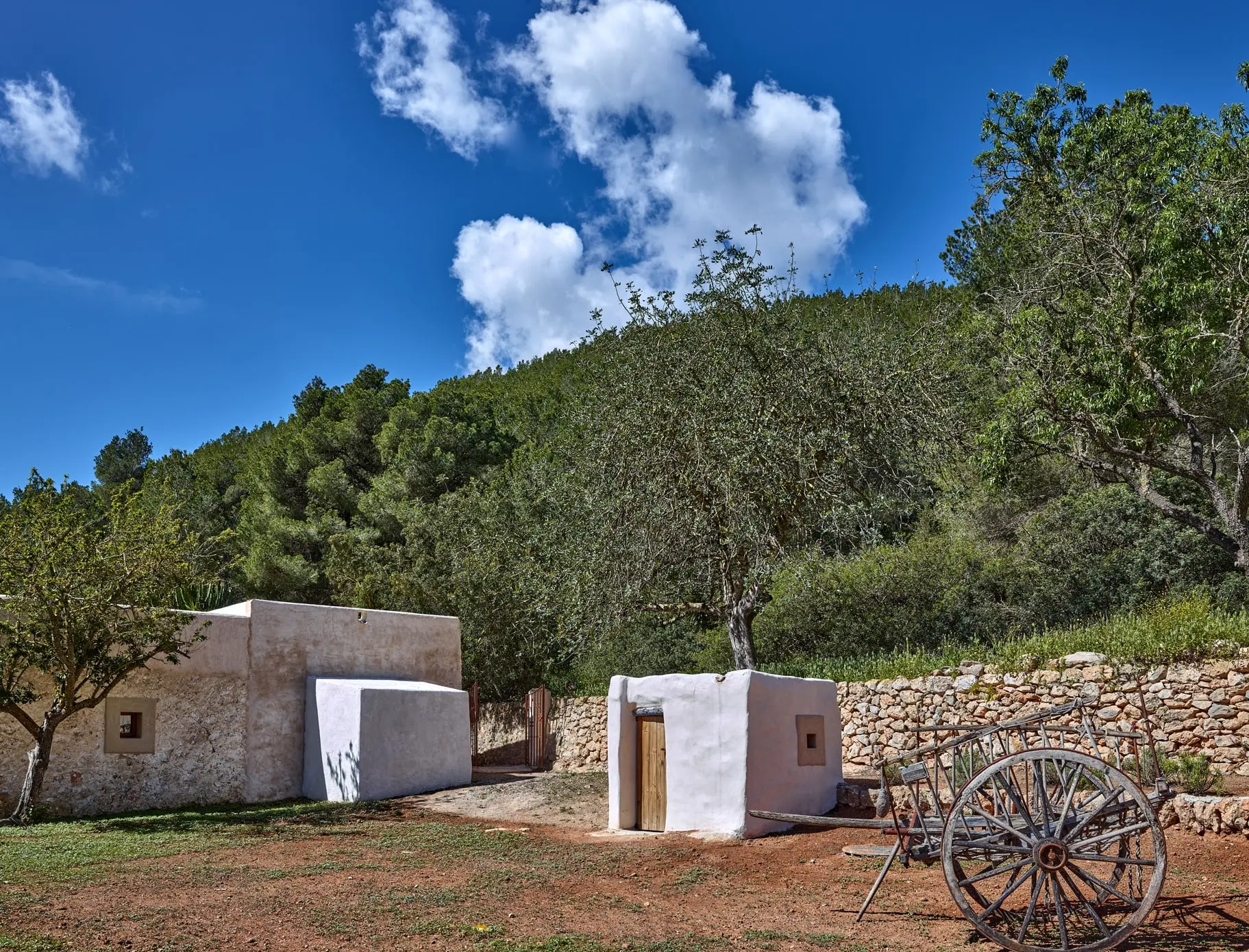 jardin maison en pierres avec piscine rénovée Ibiza