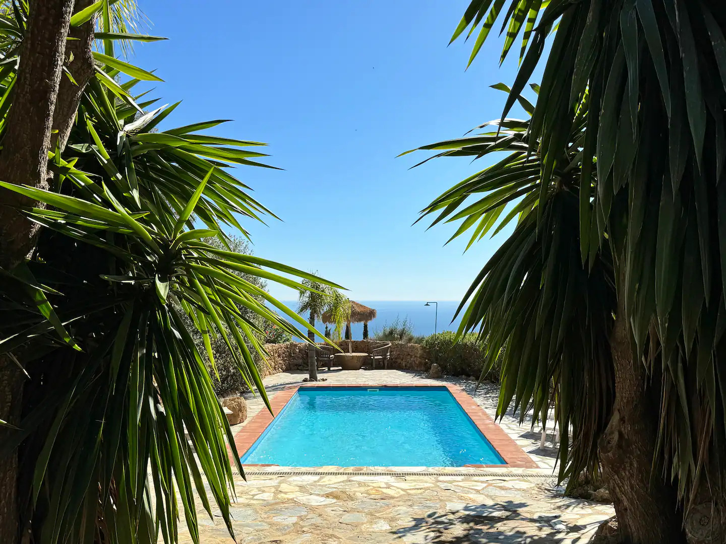 piscine dans jardin dominant la Méditerranée