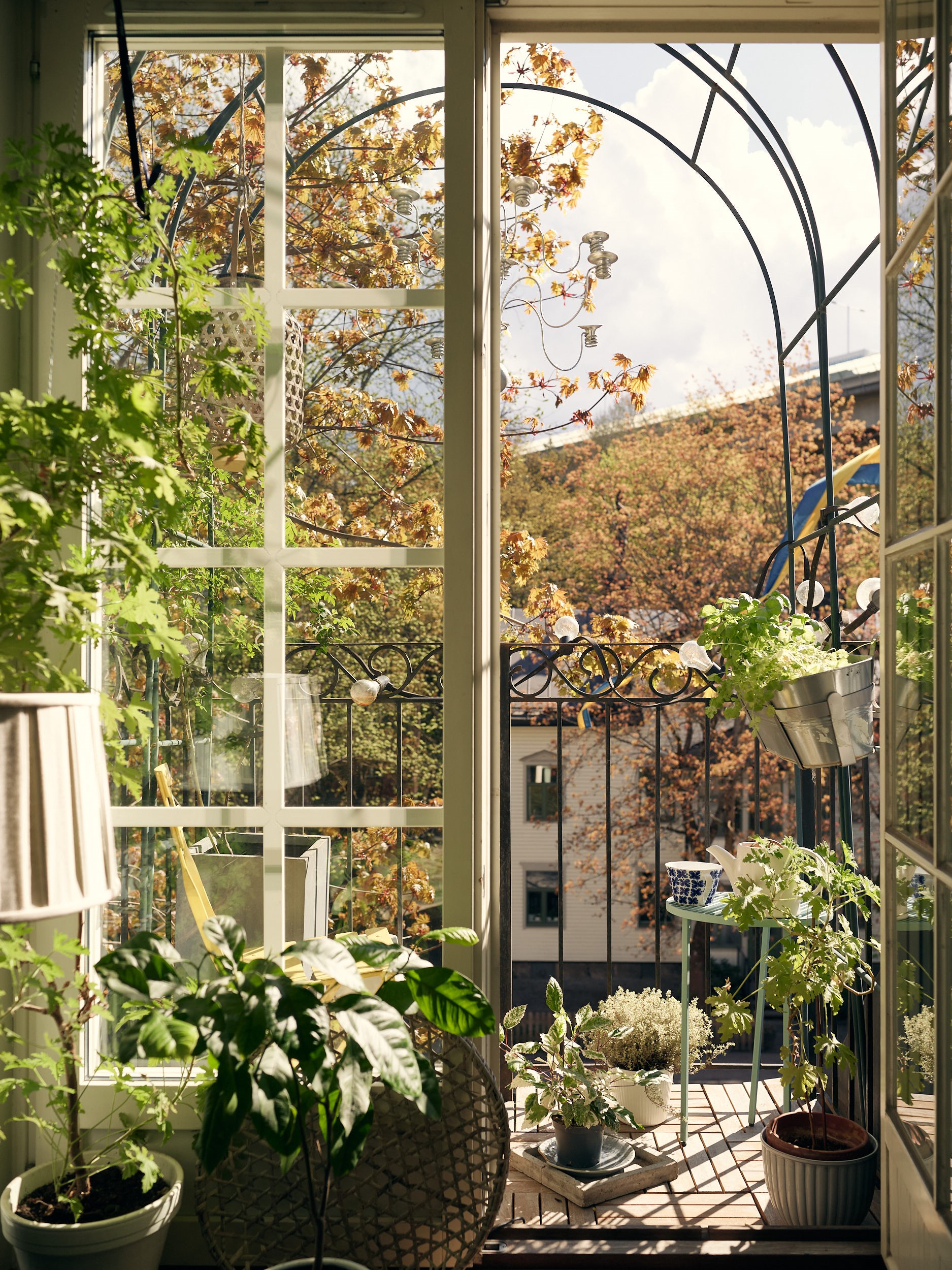 balcon avec plantes balcon avec plantes