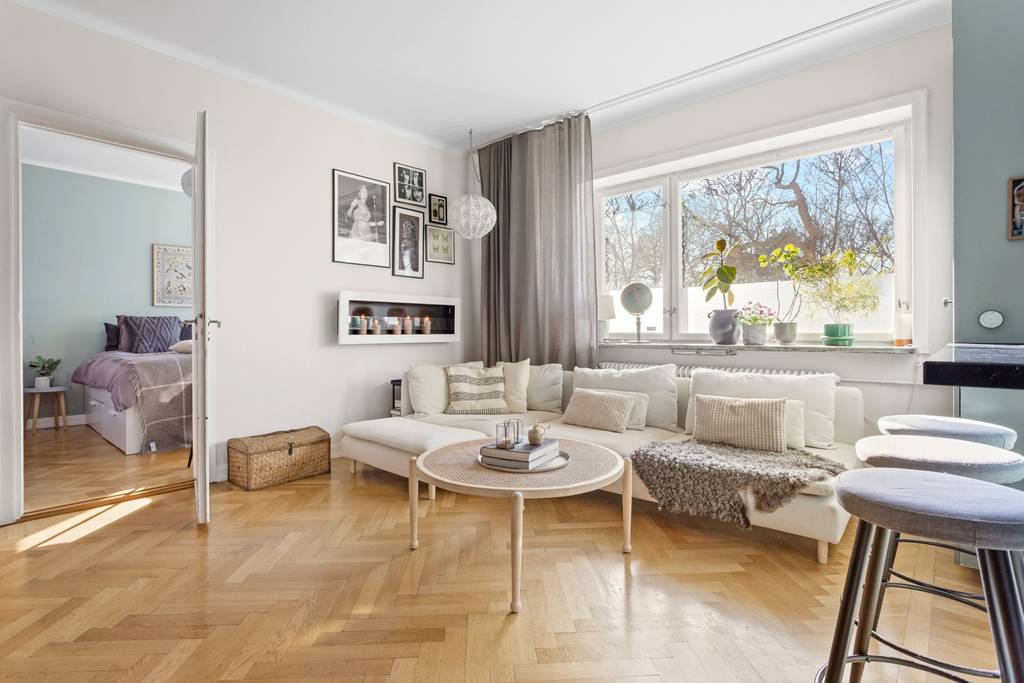 salon avec cuisine ouverte verte appartement 53m2