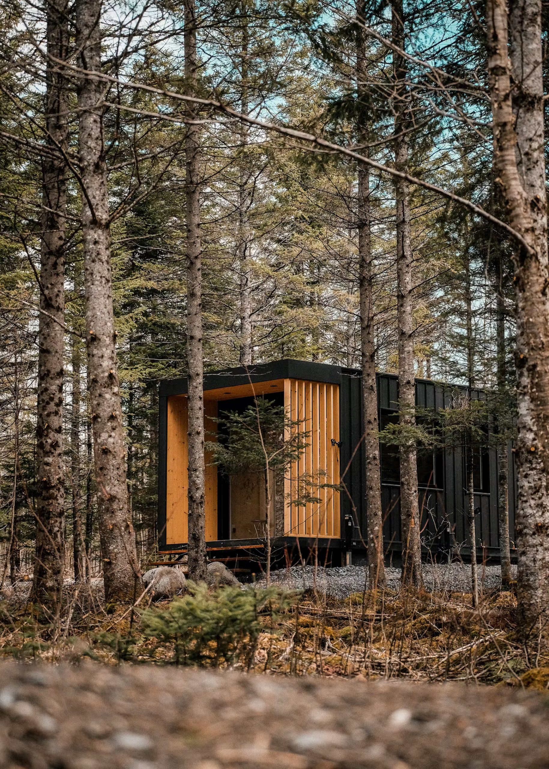 petite maison 31m2 Go-Box