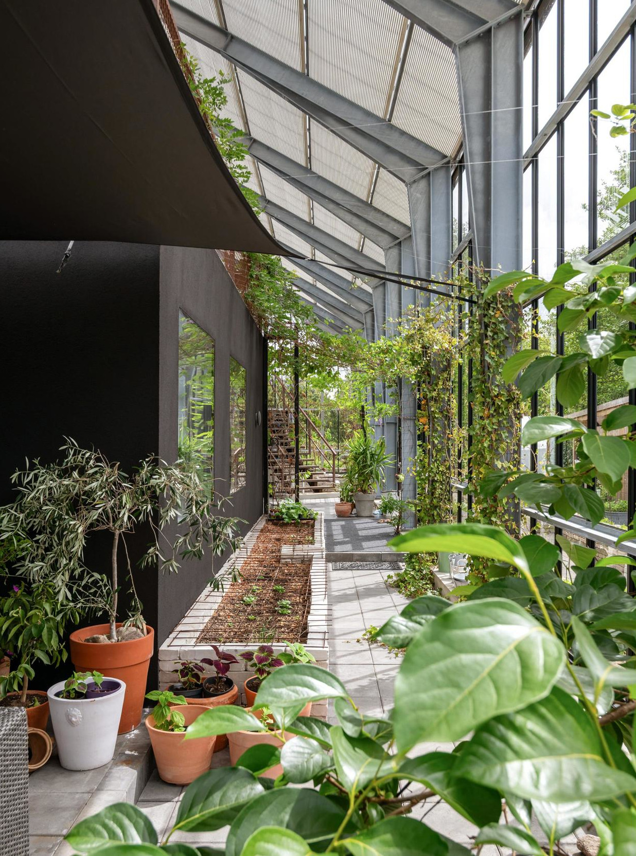 jardin intérieur maison de verre façon serre jardin intérieur maison de verre façon serre