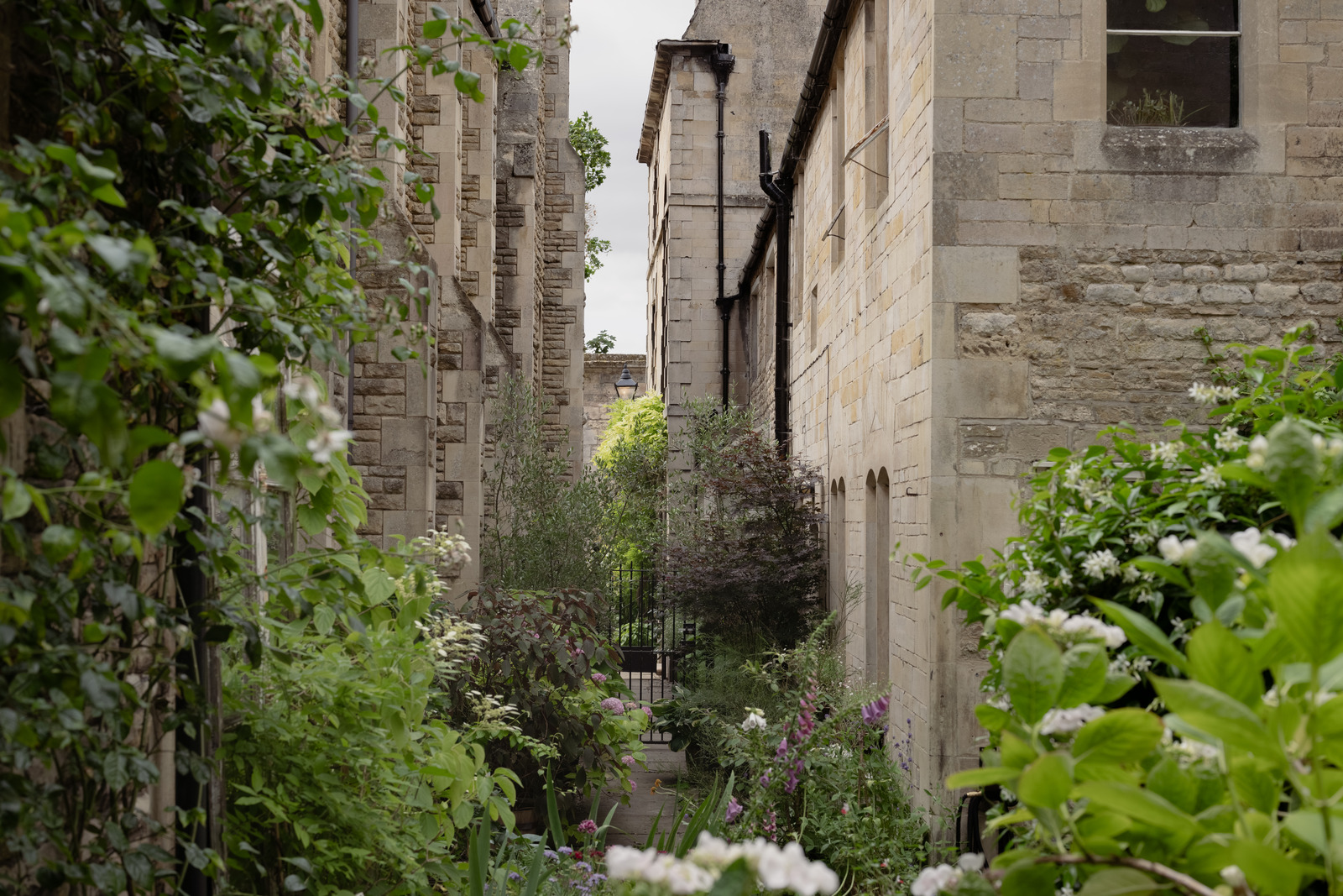 jardin maison ancienne anglaise