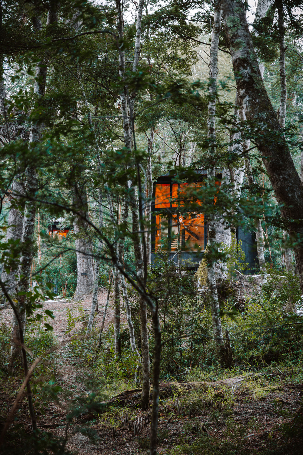 petite maison en bois noir Patagonie