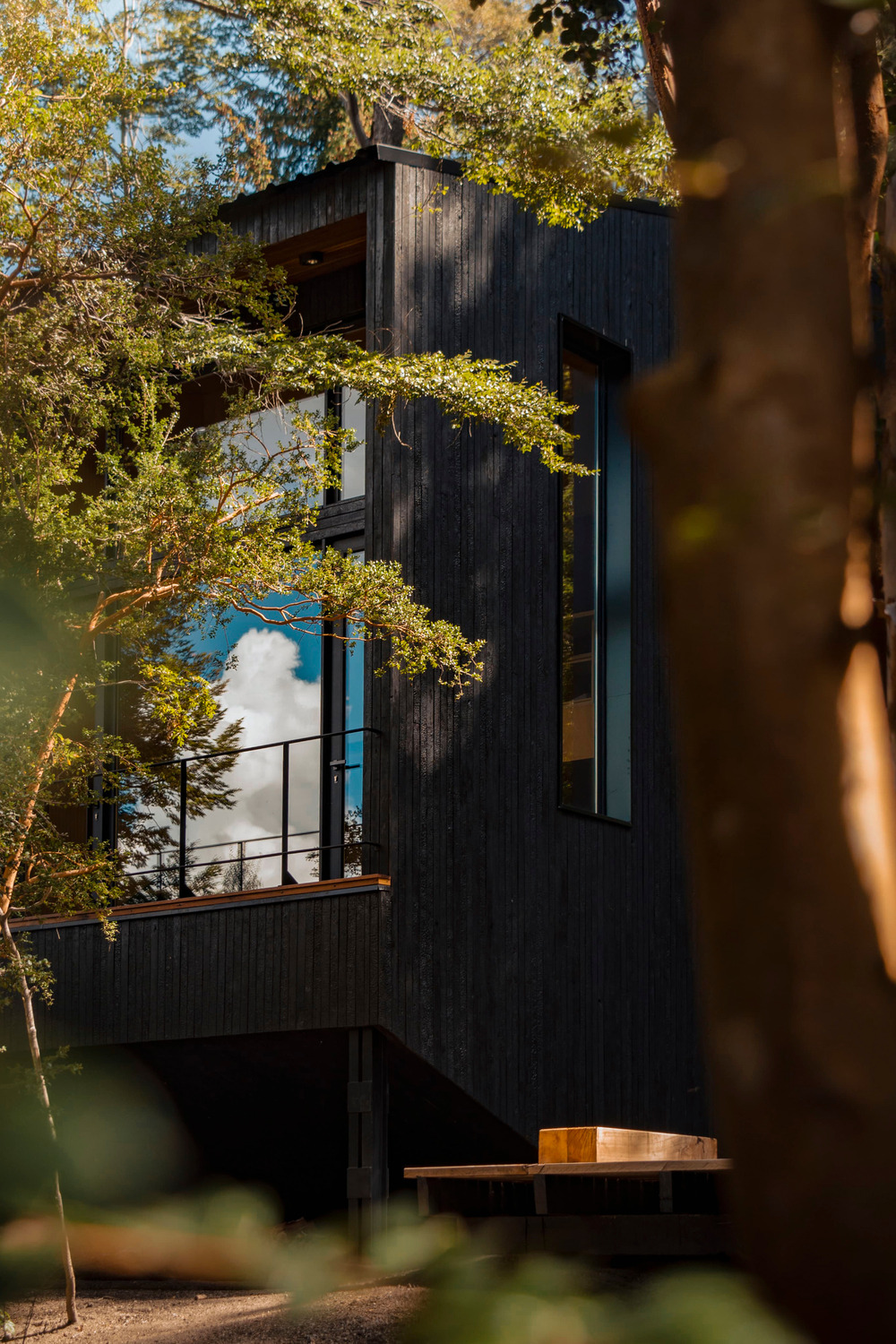 petite maison en bois noir Patagonie