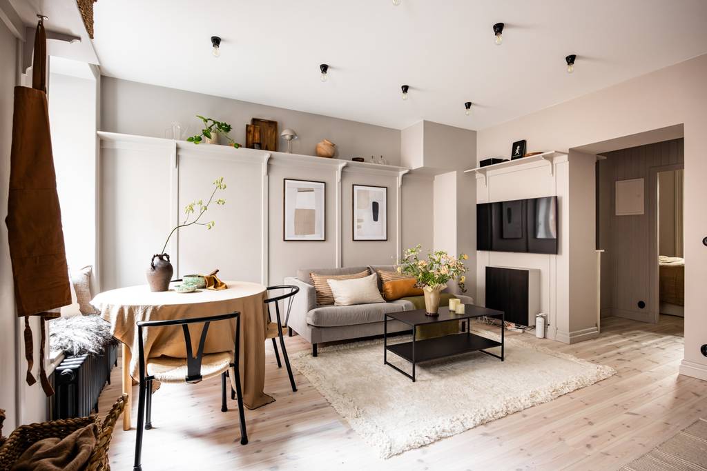 salon et salle à manger décoration scandinave deux-pièces 40m2 salon et salle à manger décoration scandinave deux-pièces 40m2