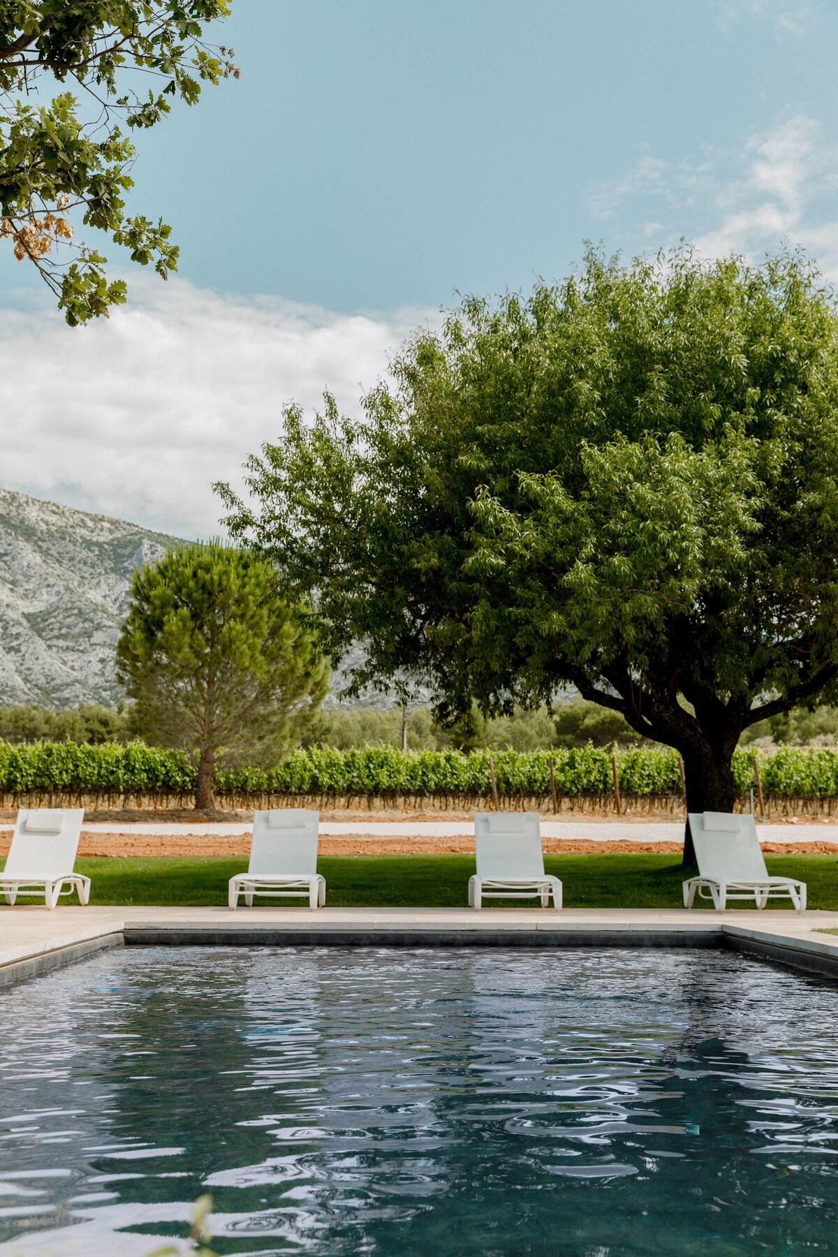 piscine maison Provence La Bastide Blanche maison MIP piscine maison Provence La Bastide Blanche maison MIP