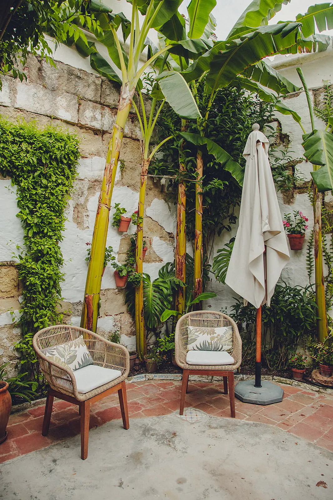 petit jardin de ville entouré de murs