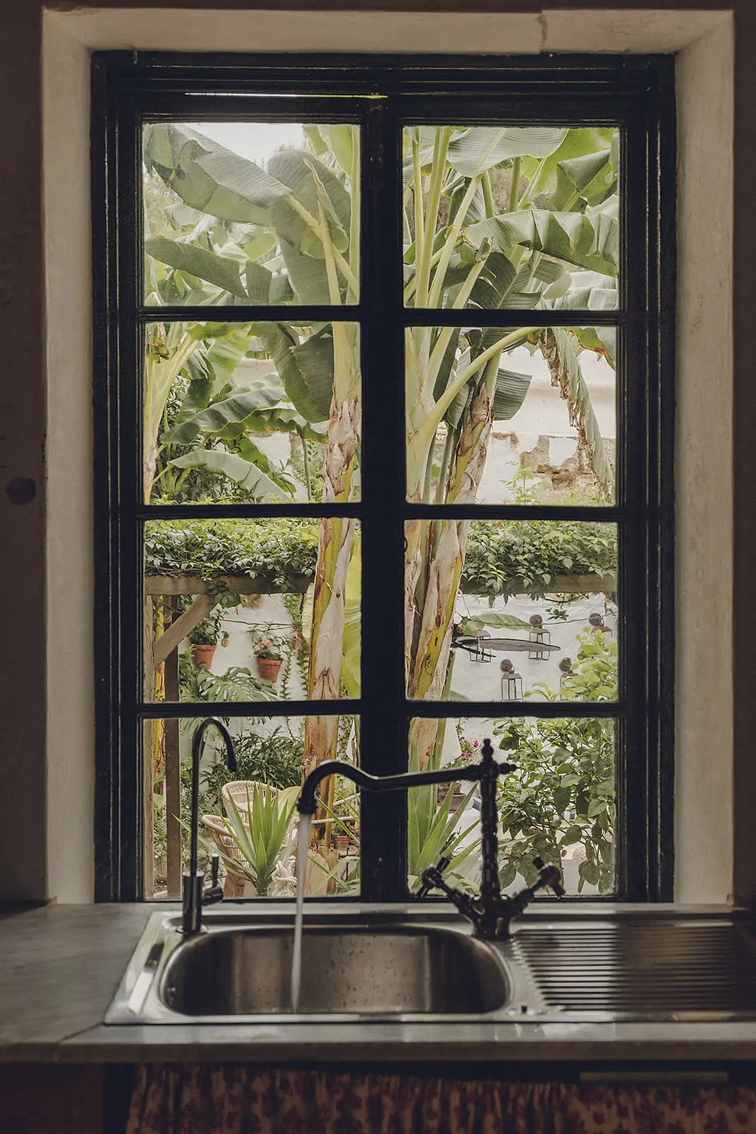 cuisine vue jardin et bananier