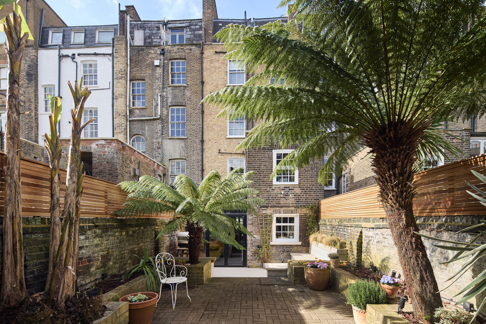 jardin de ville avec palmier maison Londres jardin de ville avec palmier maison Londres