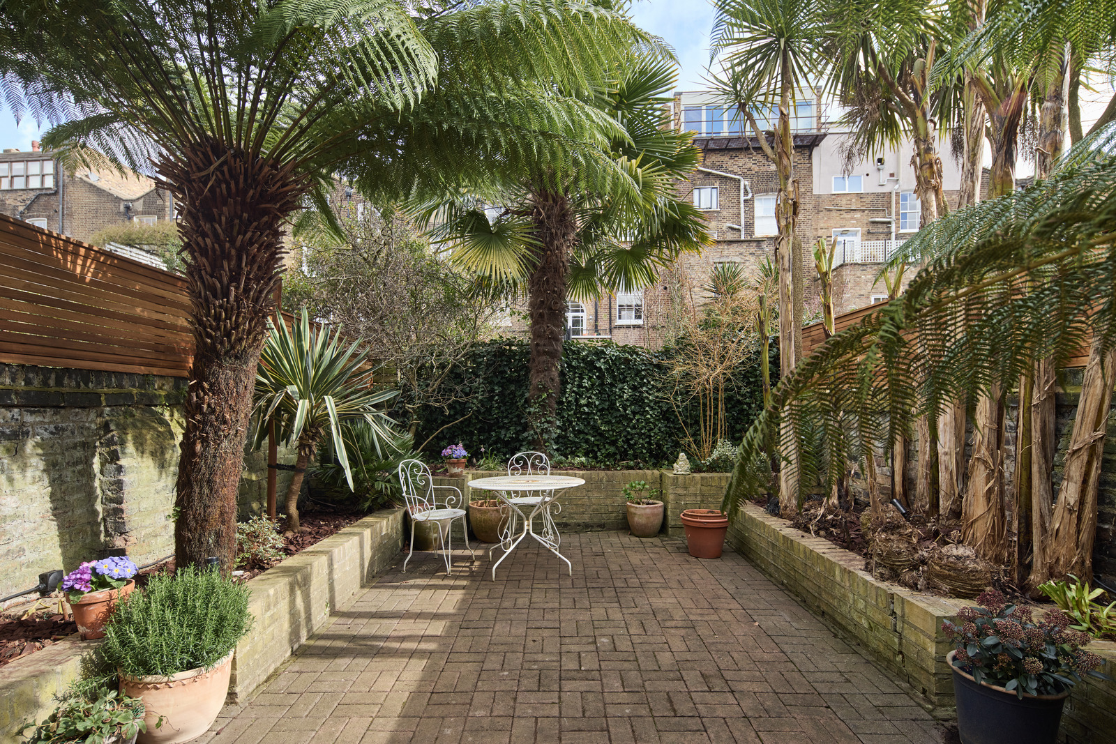 jardin de ville avec palmier maison Londres jardin de ville avec palmier maison Londres