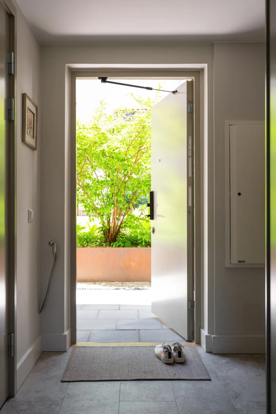 entrée entrée