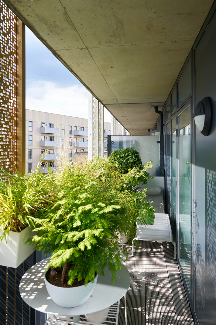 balcon abrité type loggia avec plantes vertes