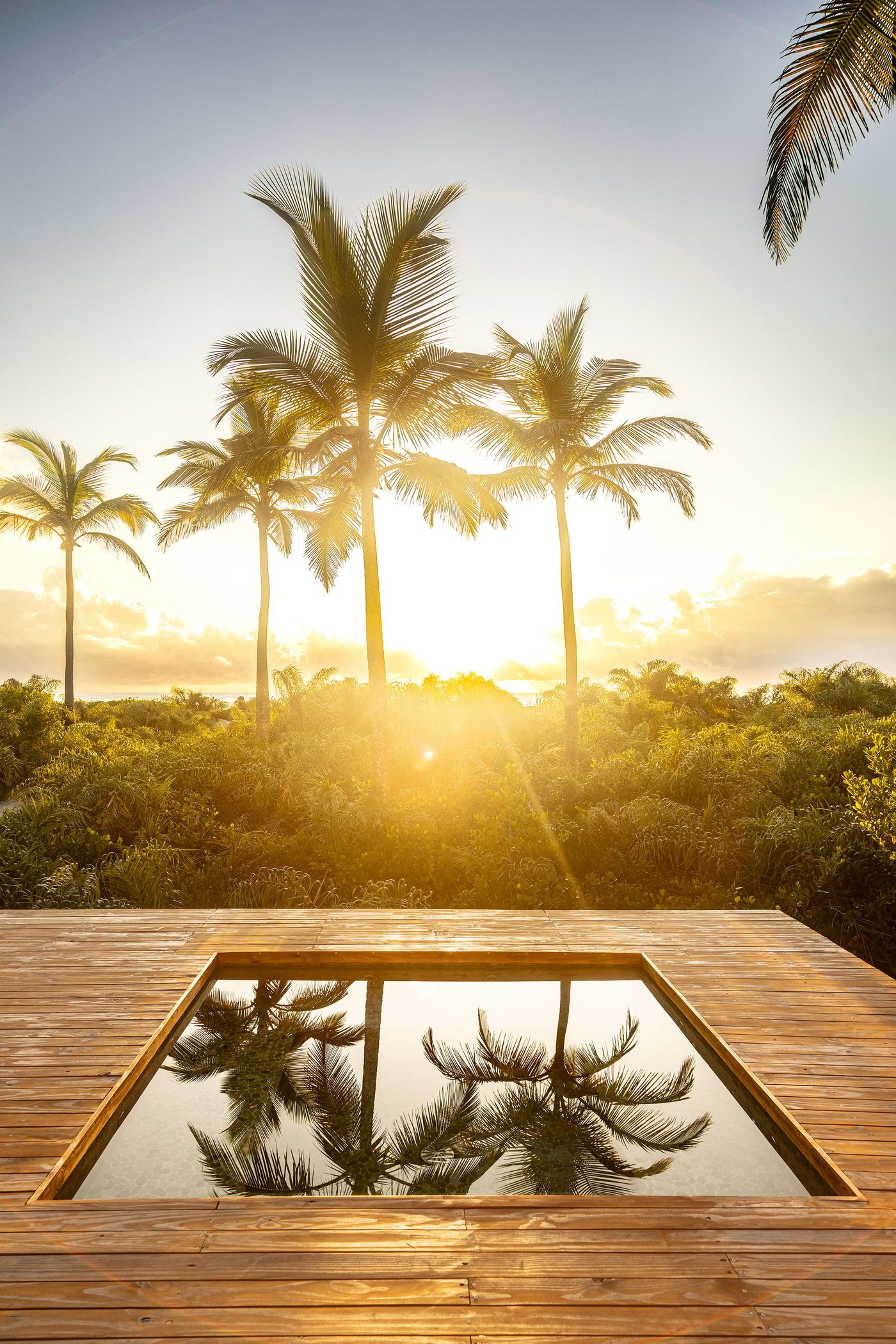 piscine sur terrasse bois maison contemporaine Modular Bahia piscine sur terrasse bois maison contemporaine Modular Bahia