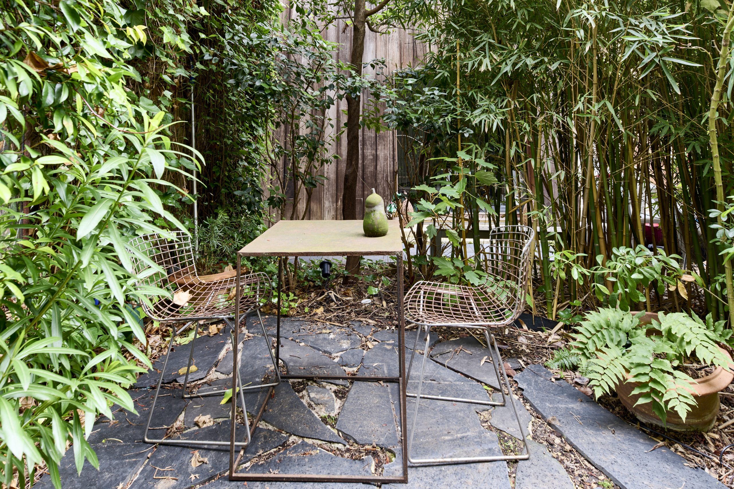 patio avec bambous
