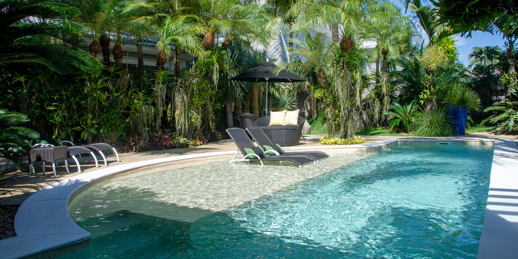 jardin avec piscine