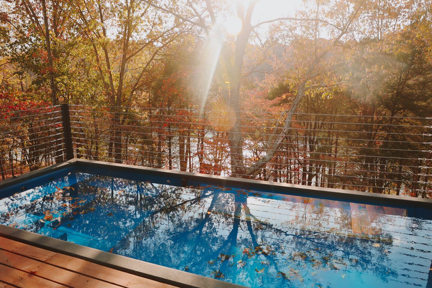 jardin avec piscine container