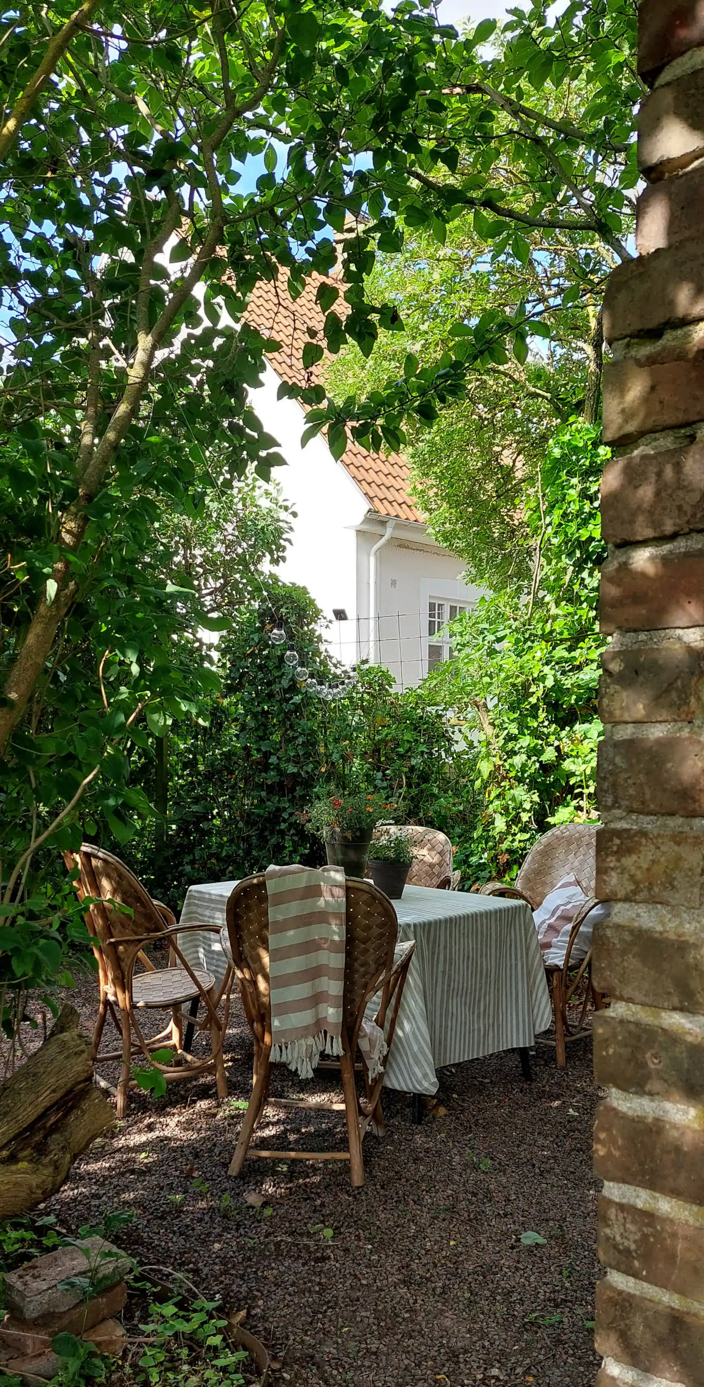 jardin maison ancienne