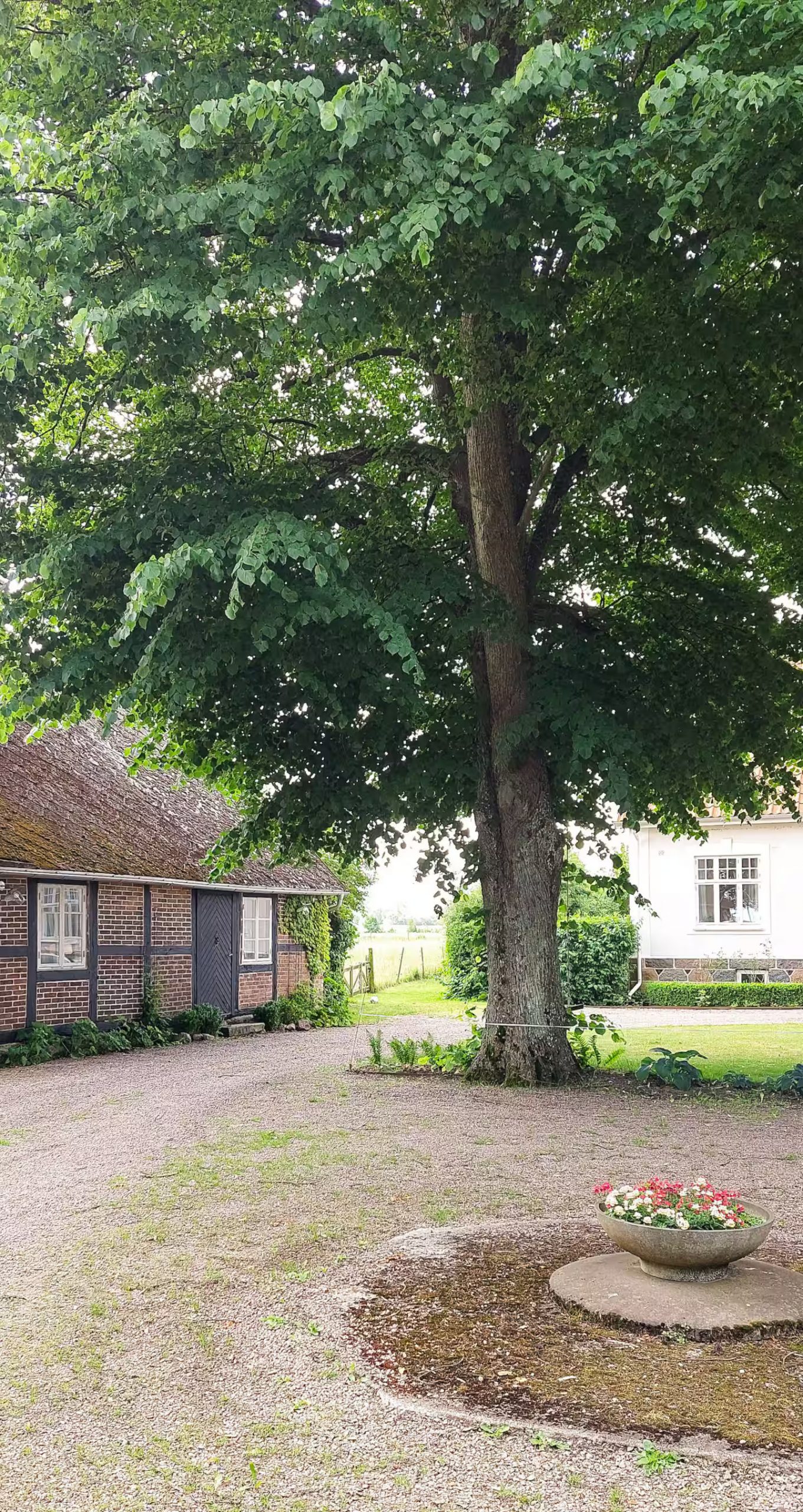 jardin maison ancienne