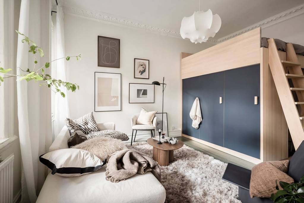 salon studio 35m2 décoration naturelle et scandinave avec lit mezzanine