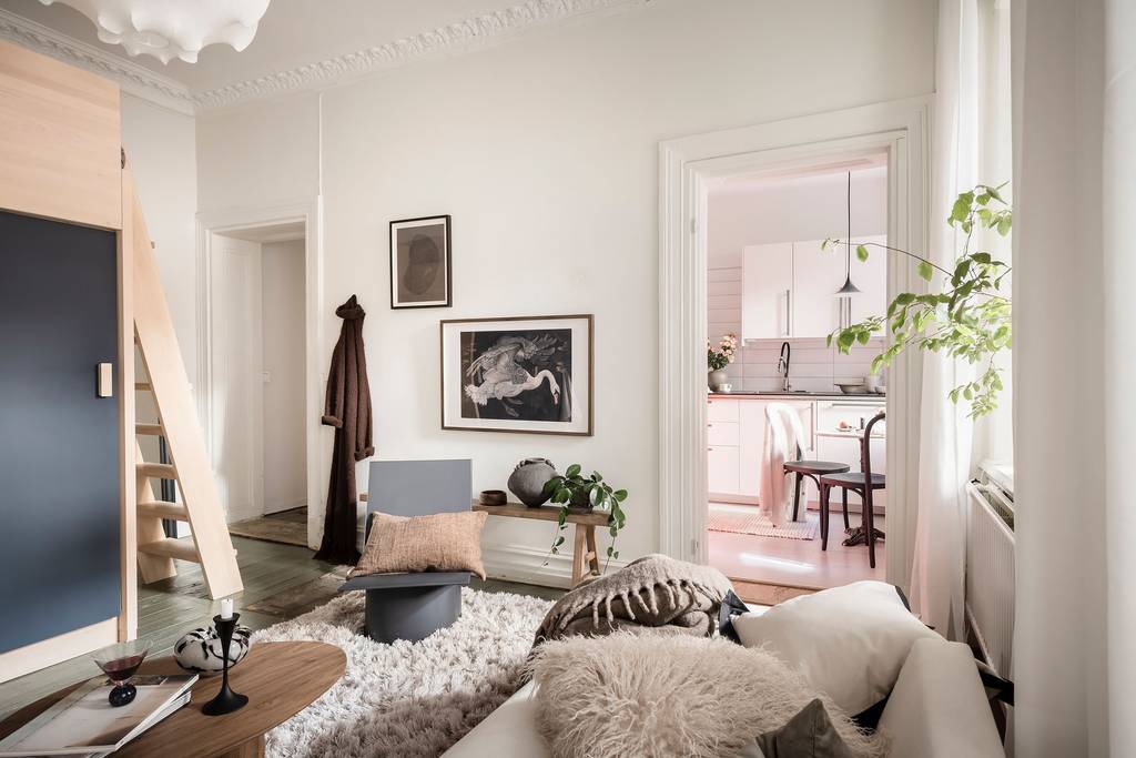 salon studio 35m2 décoration naturelle et scandinave avec lit mezzanine