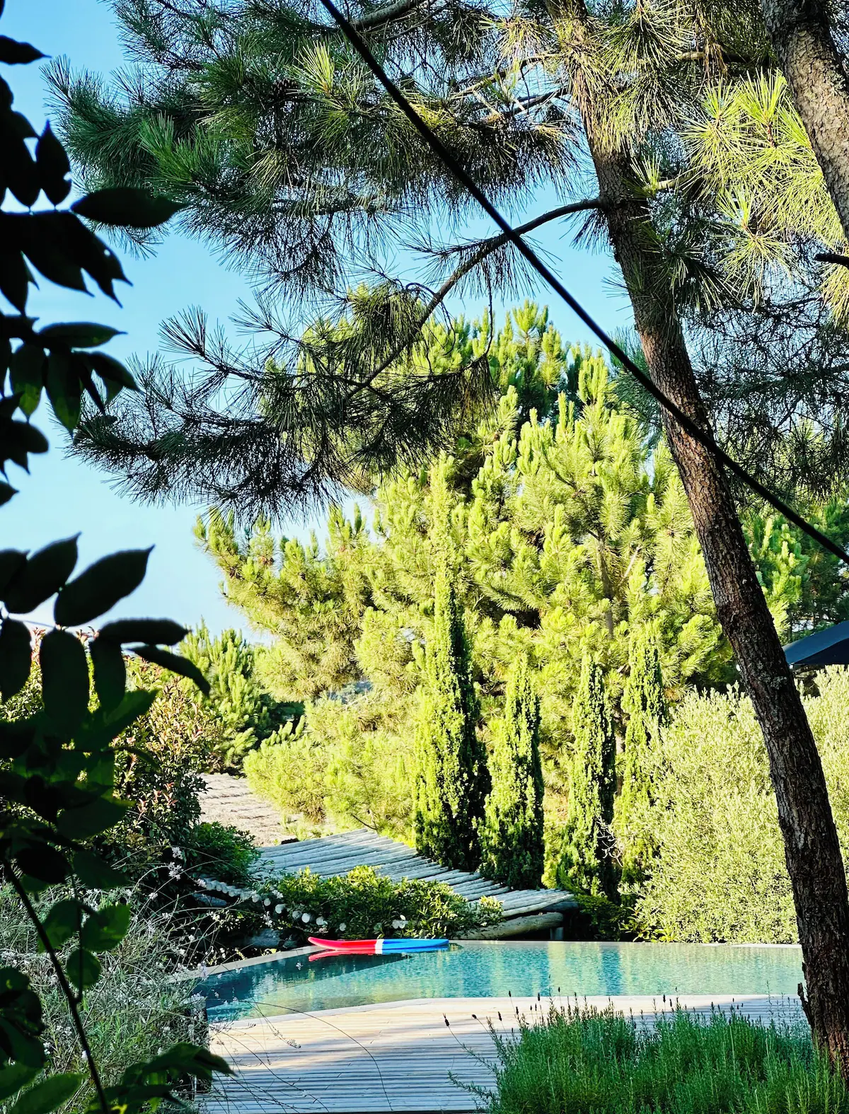 jardin avec terrasse et piscine jardin avec terrasse et piscine