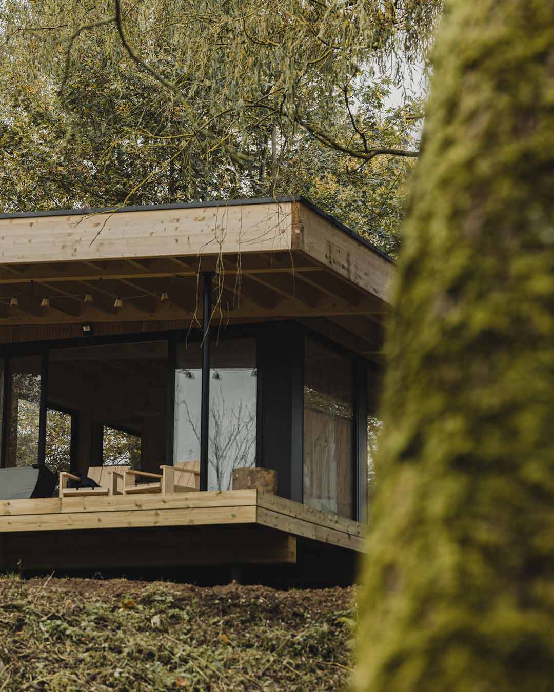 petite maison en bois Bleu Bicoque