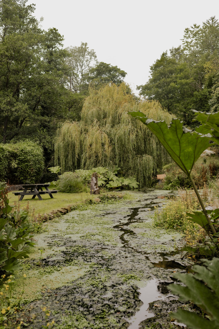jardin avec étang
